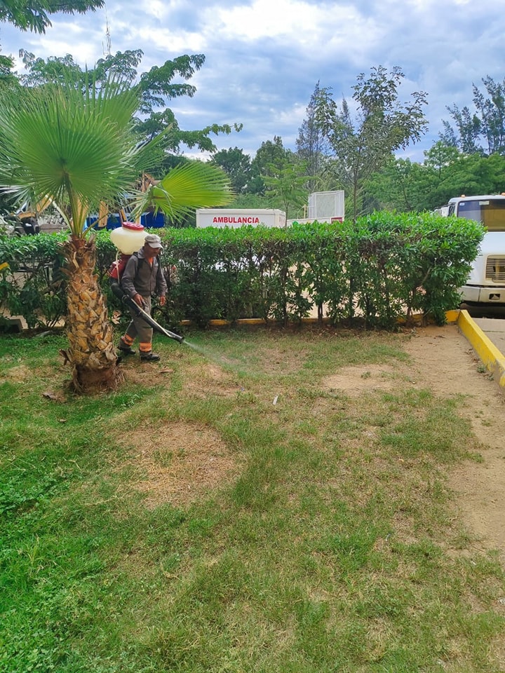 🚫🦟 PROTEGIENDO A OCOTLÁN DE MORELOS 🦟🚫