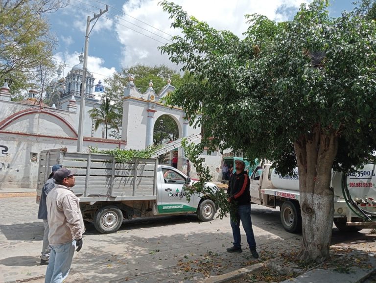 ACCIONES VERDES EN OCOTLÁN