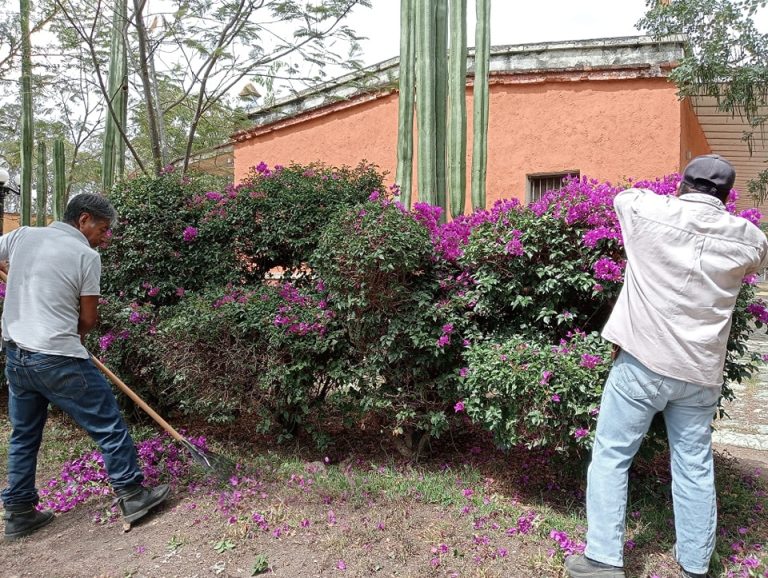 Renovación de la Ex Estación del Ferrocarril en Ocotlán de Morelos