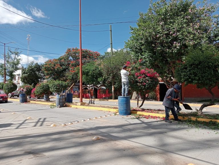 Embelleciendo Calle Morelos: Ocotlán de Morelos, un Municipio que Refleja su Belleza