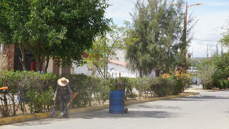 🌱🌟 Ocotlán de Morelos en Acción: Renovación del Boulevard Ferrocarril 🌟🌱