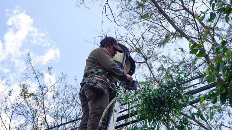 Ocotlán de Morelos Brilla en el Día de Muertos: Iluminación del Panteón Municipal