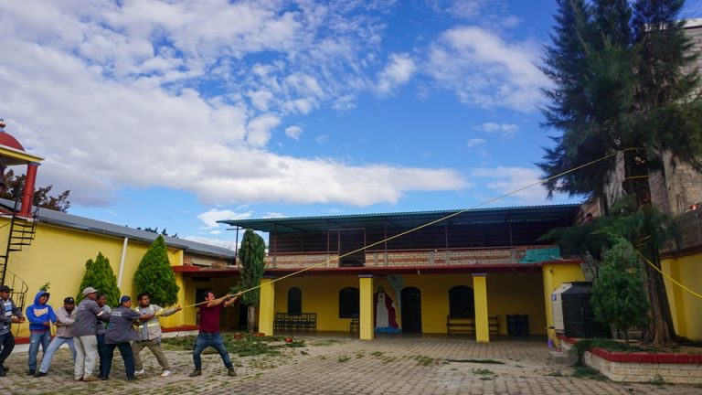 Preservando Tradiciones: Corte y Poda de Árboles en Santa María Tocuela