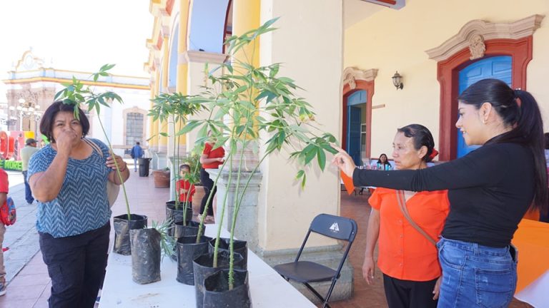 Semilla Joven: Flores de Esperanza Florecen en Ocotlán