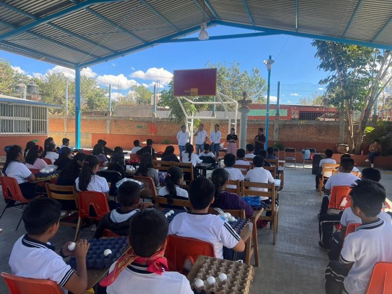 Ocotlán Promueve Inclusión y Aprendizaje en el Día Internacional de las Personas con Discapacidad