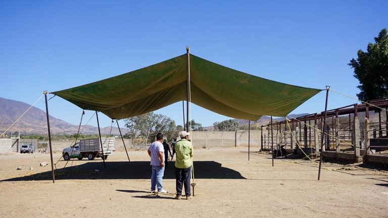 Innovación en el Baratillo: Nueva Lona Instalada para Beneficio de Comerciantes y Compradores en Ocotlán